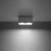 Plafonnier Aluminium Gris GU10 2 Quad