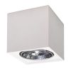 Plafonnier Céramique Blanc GU10/ES111 1 Seida