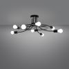 Suspension Acier Noir E27 8 Levar