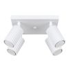 Plafonnier Aluminium Blanc GU10 4 Karbon