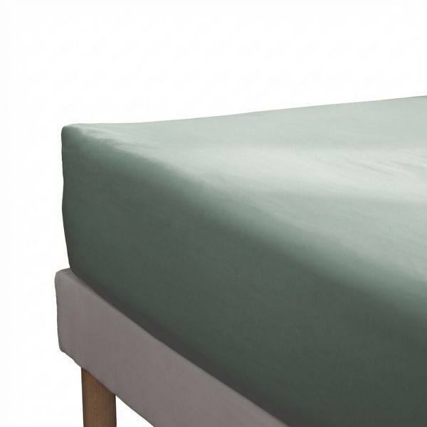 Drap housse 160x200+30 cm Percale de Coton Céladon