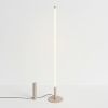 Lampadaire Acier Taupe LED 1 Trang