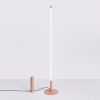 Lampadaire Acier Pêche LED 1 Trang