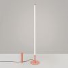 Lampadaire Acier Pêche LED 1 Trang