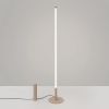 Lampadaire Acier Taupe LED 1 Trang