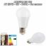 Ampoules LED